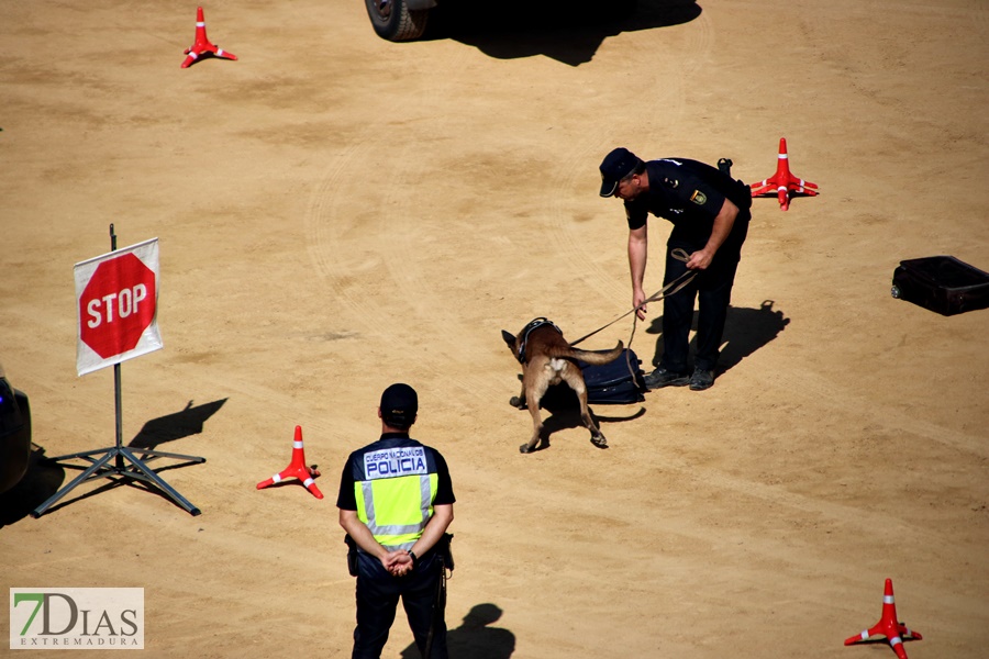 Exhibición de la Policía Nacional en la Plaza de Toros de Badajoz