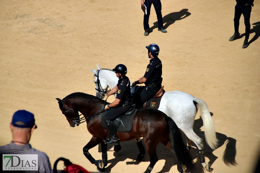 Exhibición de la Policía Nacional en la Plaza de Toros de Badajoz