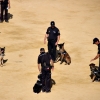 Exhibición de la Policía Nacional en la Plaza de Toros de Badajoz