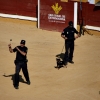 Exhibición de la Policía Nacional en la Plaza de Toros de Badajoz