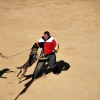 Exhibición de la Policía Nacional en la Plaza de Toros de Badajoz