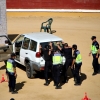 Exhibición de la Policía Nacional en la Plaza de Toros de Badajoz