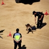 Exhibición de la Policía Nacional en la Plaza de Toros de Badajoz