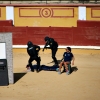 Exhibición de la Policía Nacional en la Plaza de Toros de Badajoz