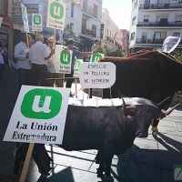 Ganaderos extremeños se manifiestan en contra de las medidas de la Junta