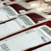 El Banco de Sangre recorrerá más de 12.000 kilómetros en octubre
