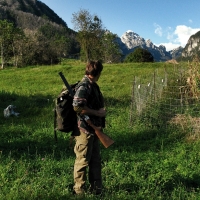 Asaja pide a la Junta autorizar la caza al salto del jabalí para frenar la tuberculosis