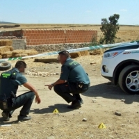 Detienen en Mallorca al presunto autor de disparar a un joven en Acedera (Badajoz)