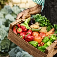 Italia y Extremadura estrechan lazos con el movimiento Slow Food