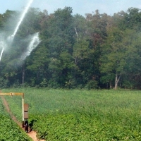 La Junta promoverá el uso circular del agua en la región