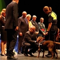 La perra Milka protagonista en la entrega de Medallas de la Policía Local