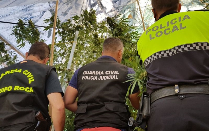 Detenidos dos miembros de una familia de Llerena por tráfico de drogas