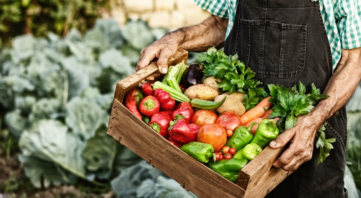 Italia y Extremadura estrechan lazos con el movimiento Slow Food