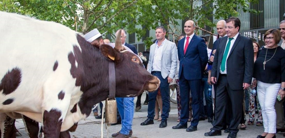 Vara Inaugura la 564 Feria de San Miguel de Zafra