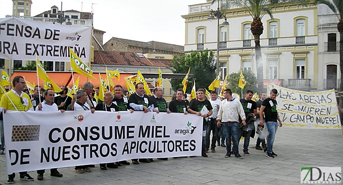 Apicultores: “La Junta tiene que contar con nosotros, la sequía también nos afecta”