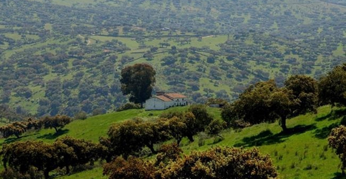 El Parlamento Europeo aprueba incluir más superficie de pastos en la nueva PAC