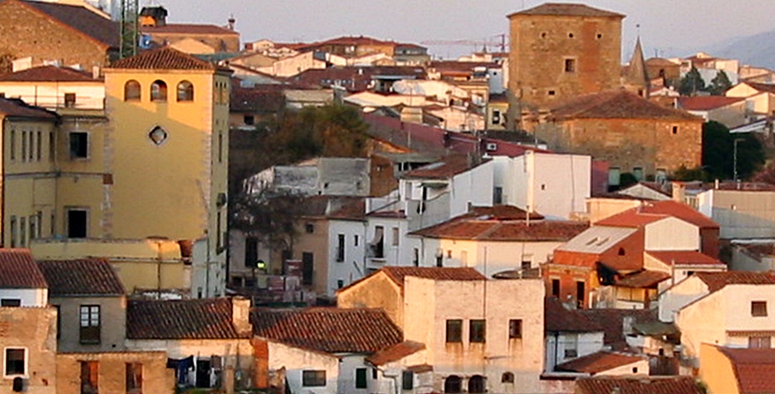 Intramuros denuncia los incumplimientos estatutarios del presidente de FEPAVE