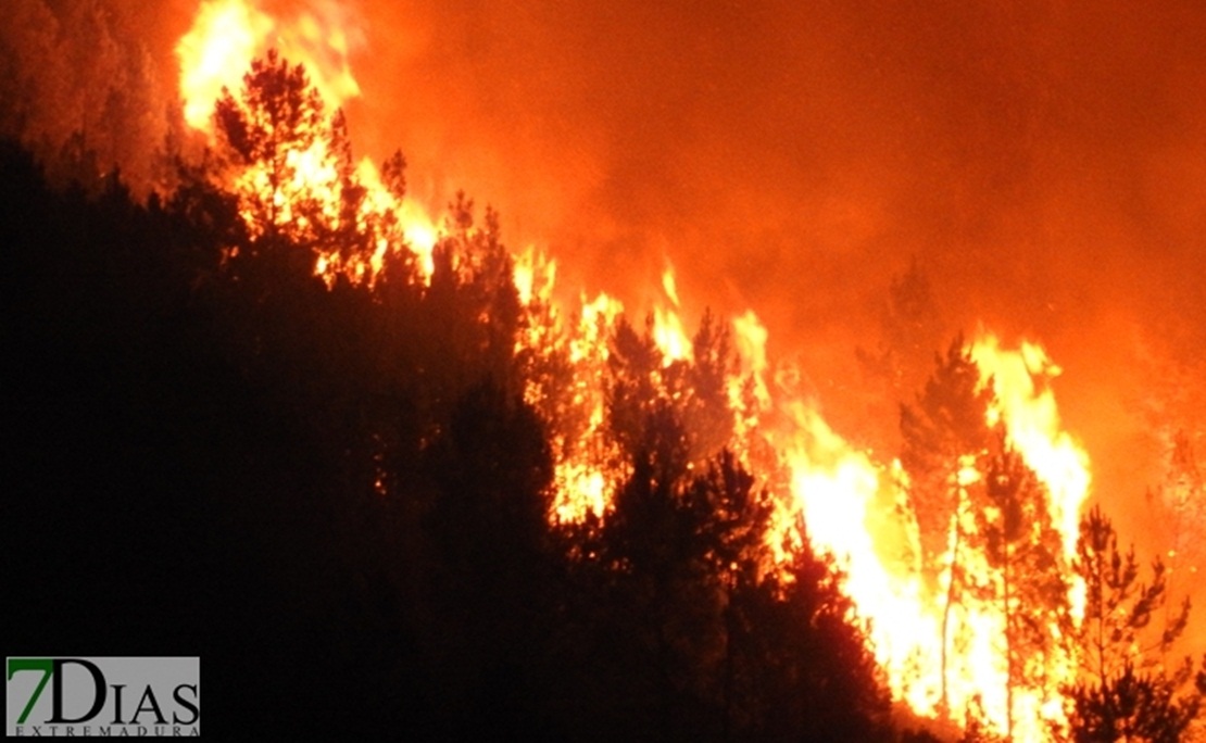 El 45% de los incendios forestales de Extremadura han sido intencionados