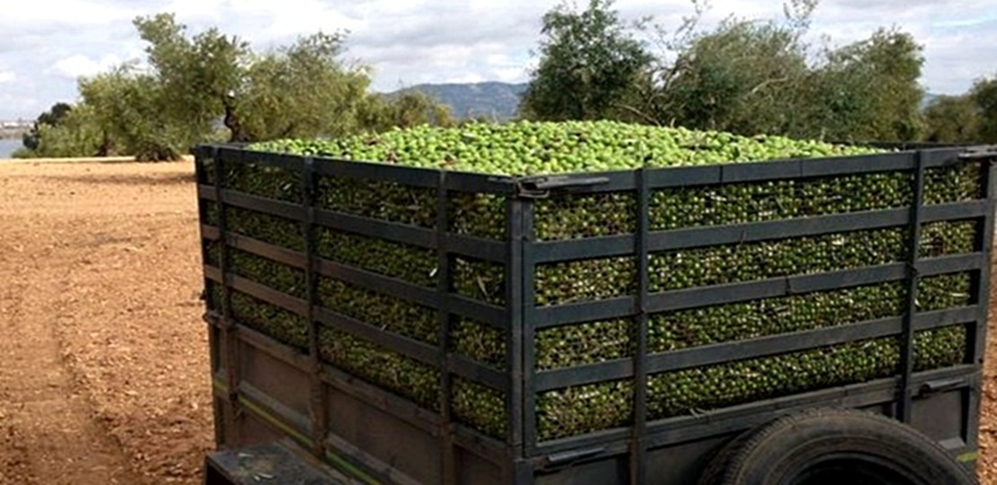 La Unión exige a las Administraciones coordinación para evitar robos en el campo