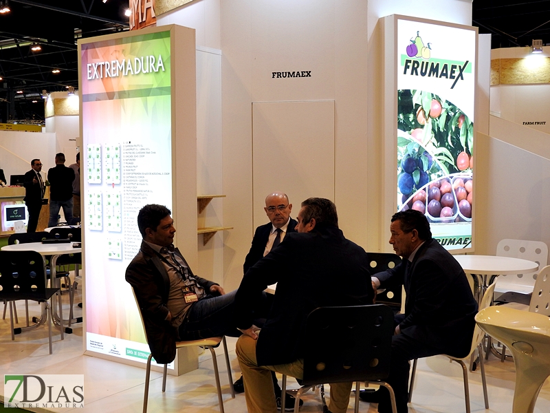 Ambiente en el stand de Extremadura en la Feria Fruit Attraction 2017