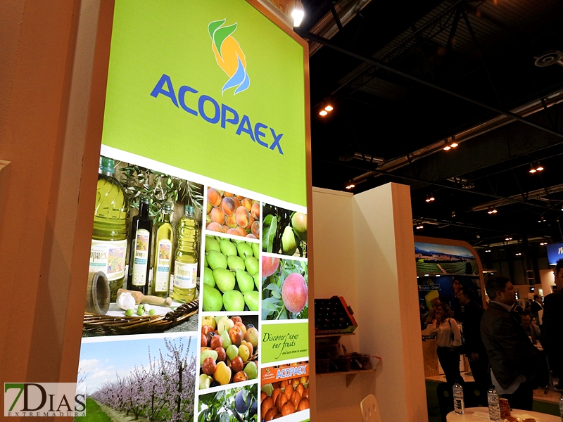 Ambiente en el stand de Extremadura en la Feria Fruit Attraction 2017