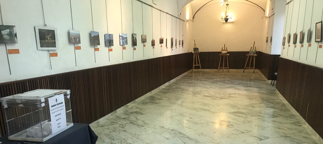 &#39;La Foto del Verano&#39; se mantendrá hasta el viernes en Los Santos