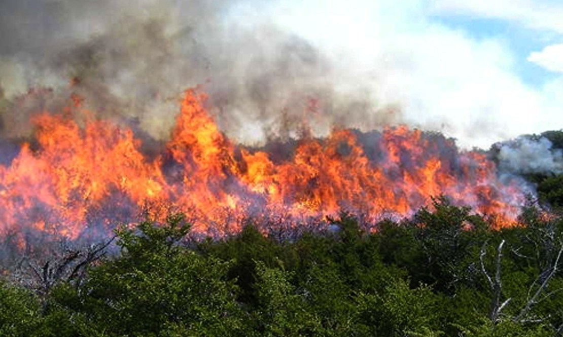 Peligro de incendios en Extremadura del 16 al 22 de octubre