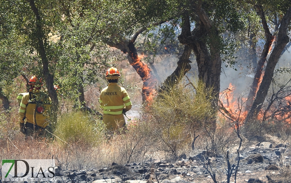 Imágenes del incendio en las cercanías de Alburquerque