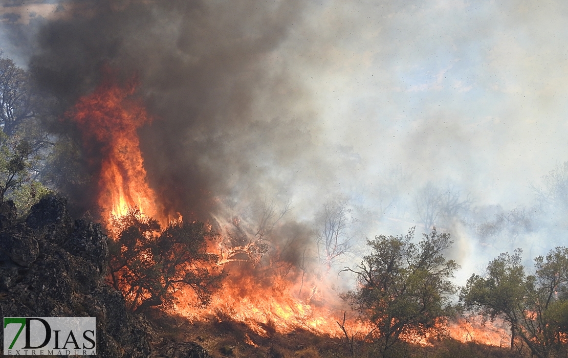Imágenes del incendio en las cercanías de Alburquerque