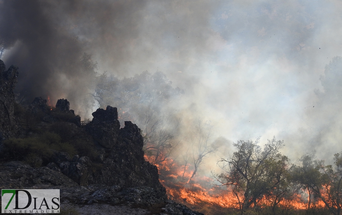 Imágenes del incendio en las cercanías de Alburquerque