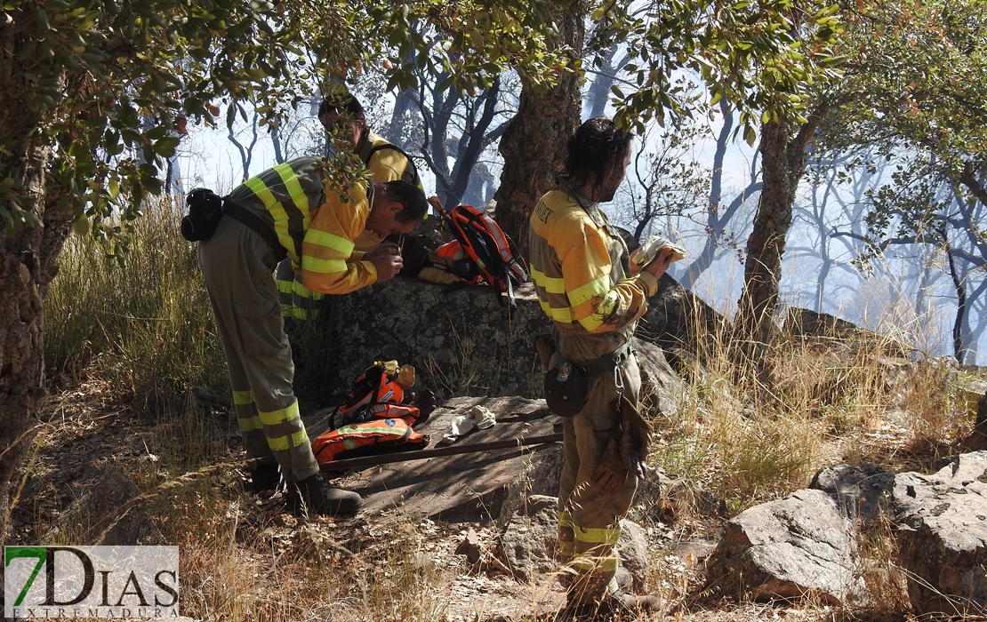 Imágenes del incendio en las cercanías de Alburquerque