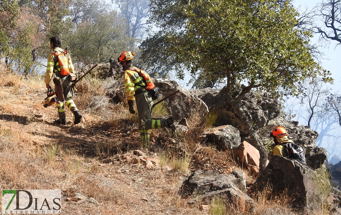 Imágenes del incendio en las cercanías de Alburquerque