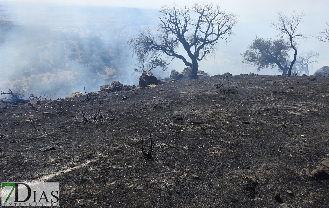 Imágenes del incendio en las cercanías de Alburquerque