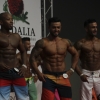 Imágenes del Campeonato de España de Fisioculturismo y Fitness