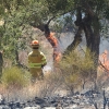 Imágenes del incendio en las cercanías de Alburquerque