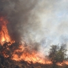 Imágenes del incendio en las cercanías de Alburquerque