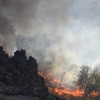 Imágenes del incendio en las cercanías de Alburquerque