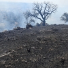 Imágenes del incendio en las cercanías de Alburquerque