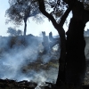 Imágenes del incendio en las cercanías de Alburquerque