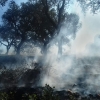 Declarado incendio forestal muy cercano a Alburquerque