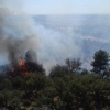 Declarado incendio forestal muy cercano a Alburquerque