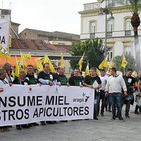 Apicultores: “La Junta tiene que contar con nosotros, la sequía también nos afecta”