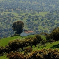 El Parlamento Europeo aprueba incluir más superficie de pastos en la nueva PAC