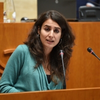 Podemos no apoya la iniciativa de respaldar a las Fuerzas de Seguridad