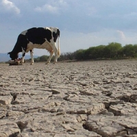 La Unión: &quot;La sequía en el campo extremeño tendrá que esperar&quot;