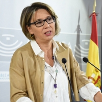 PP: “Vergeles es el consejero trolero”