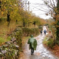 Sierra de Gata celebra el otoño con múltiples actividades