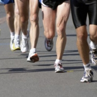 La Media Maratón Riberos del Tajo congregará a 400 atletas
