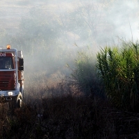 La época álgida de incendios de campo se adelantó dos meses en 2017