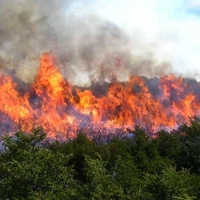 Peligro de incendios en Extremadura del 16 al 22 de octubre